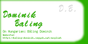 dominik baling business card